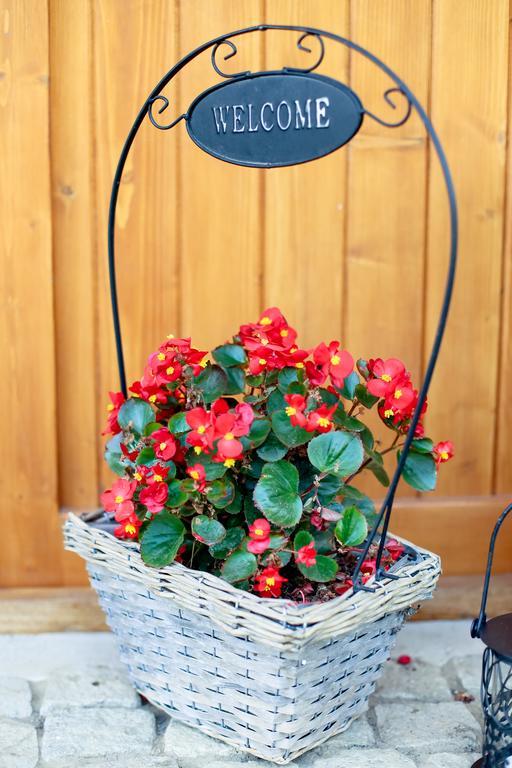 Landhaus Bed&Breakfast Вишеу-де-Сус Экстерьер фото